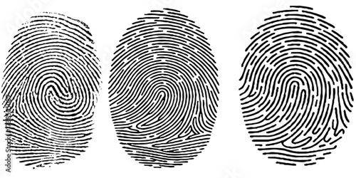 Real fingerprint in white background Engraved fingerprint pattern collection for security and design projects