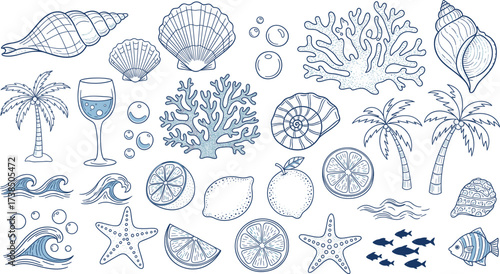 Hand-drawn tropical ocean icons with shells, coral, palm trees, citrus fruits, waves, bubbles, fish, starfish, summer vector set