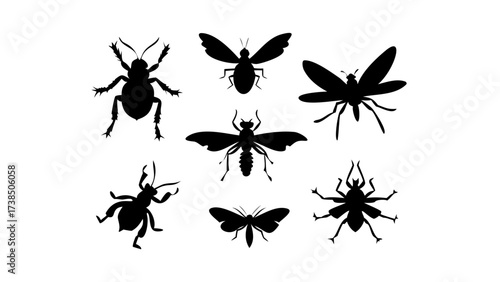 Silhouette illustration showcasing a variety of insects including beetles and moths in black on white