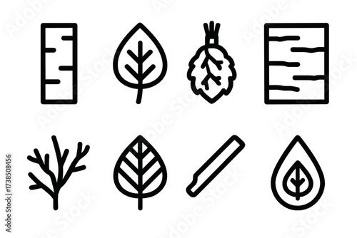 Birch Icon Set. Solid, filled icon set of natural birch elements: birch tree trunk, birch leaves, birch whisk, bark texture, branches cluster, leaf veins,