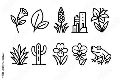 Colombian and Peruvian Icons. Outline icon set of Colombian daily life: street vendor, market stall, coffee plantation, city skyline, traditional house, soccer