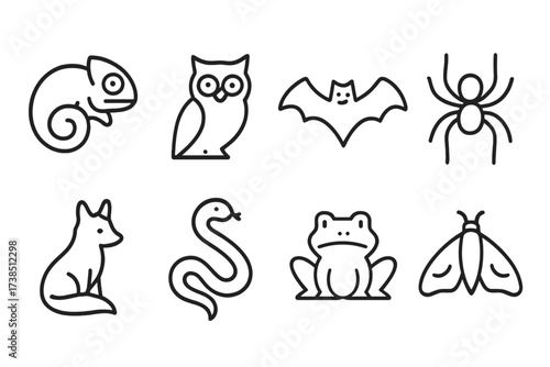 Hidden Creatures Icons. Outline icon set of hidden creatures: chameleon, owl, bat, spider, fox, snake, frog, moth. Line icons in only black color, consistent
