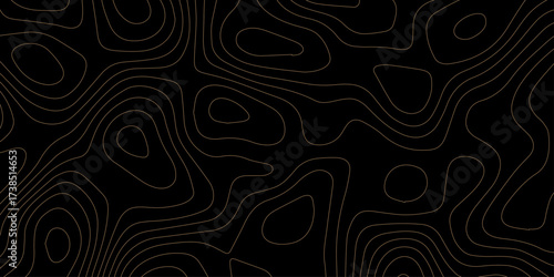 Topographic contours map background. geography map grid abstract backdrop. black wave paper curved reliefs design. seamless pattern with flowing wavy lines.	