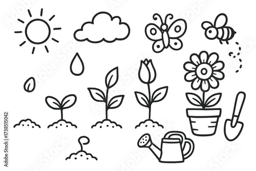 Flower Growth Diagram. Hand-drawn doodle illustration Flower growth stages seed, sprout, stem, bud, flower, leaf, sun, droplet, soil, pot, shovel, watering