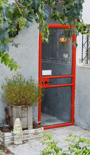 Red Glass Door With Grapevine Leaves Front View Outdoor Colorful Entrance. Decorative House Exterior With Green Plants Vintage Statue Rustic Details