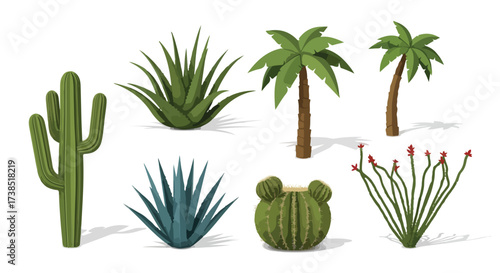 Desert Oasis Collection Vector Illustrations of Cacti Agave and Palm Trees on White Background