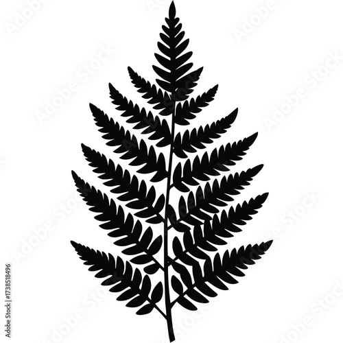 flat color marine fern like plant illustration