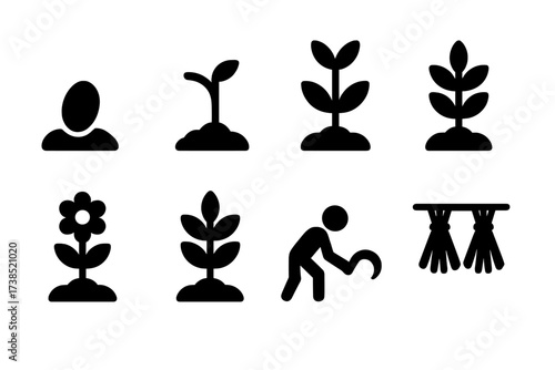 Plant Growth Stages Icons. Solid, filled icon set of crop growth stages: seed, sprout, seedling, mature plant, flowering, fruiting, harvesting, drying. [Line