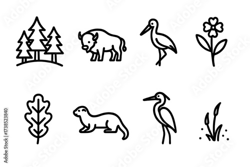 Belgian Nature Icons. Outline icon set of Belgian nature and wildlife: Ardennes forest, European bison, stork, wildflower, oak leaf, river otter, heron, moss.