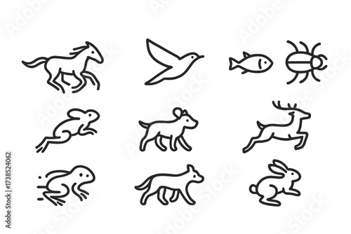 Animal Movement Icons. Outline icon set of animal movement: running horse, flying bird, swimming fish, crawling insect, jumping frog, walking dog, galloping