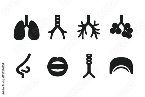 Respiratory System Icons. Solid, filled icon set of respiratory system: lungs, trachea, bronchi, alveoli, diaphragm, nose, mouth, windpipe. [Line icons in only
