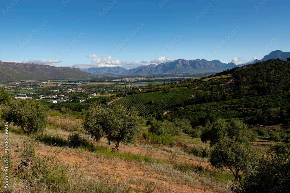 Fototapeta premium sud africa