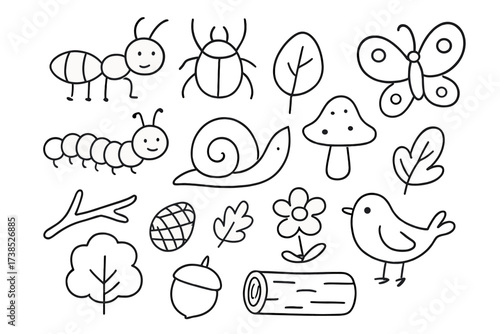 Woodland Critter Doodles. Hand-drawn doodle illustration woodland insects and critters ant, beetle, spider, butterfly, caterpillar, snail, leaf, mushroom,