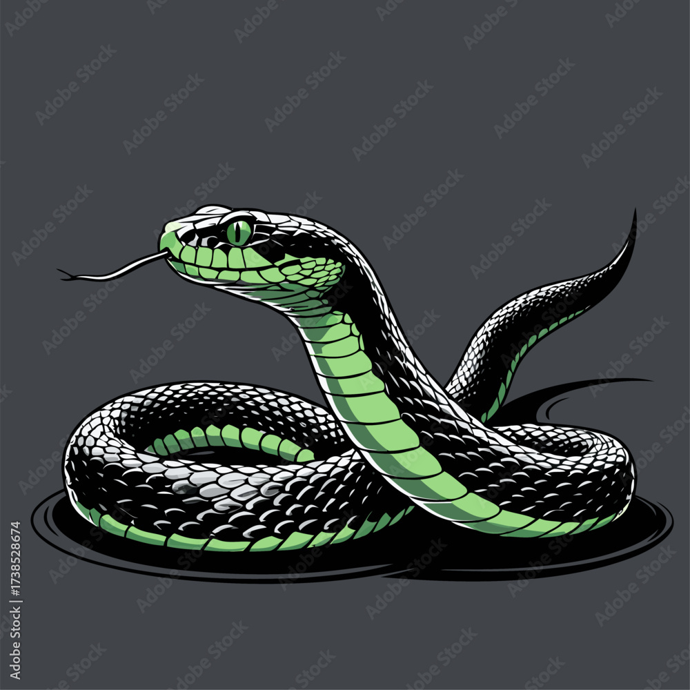 Fototapeta premium illustration of a venomous snake in various colors 