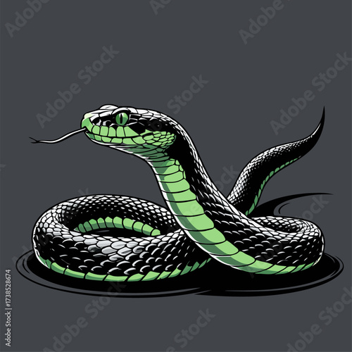 illustration of a venomous snake in various colors 