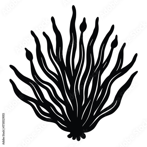 hand drawn style algae illustration on white background