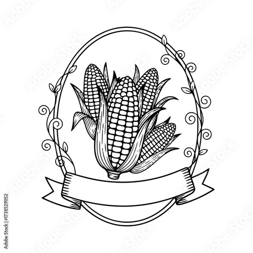 Vector art of vintage illustration of corn cobs with leaves and a banner