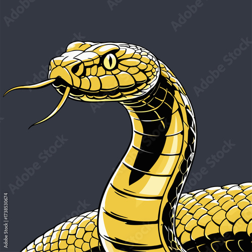 illustration of a venomous snake in various colors 