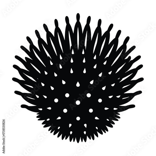 minimal sponge like marine plant illustration