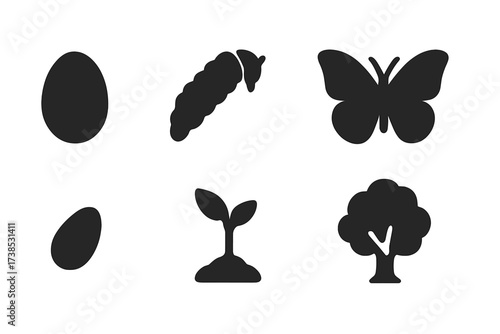 Evolution Icon Set. Solid, filled icon set of evolution stages: egg, larva, pupa, butterfly, seed, sprout, sapling, full tree. Solid, filled icons in only