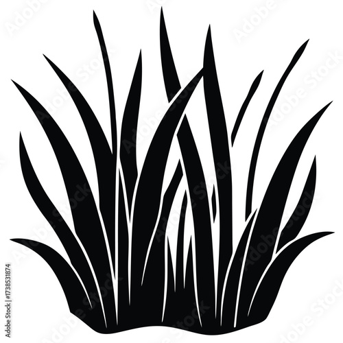 seagrass meadow illustration with long leaves on white