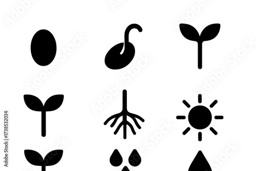 Bean Sprout Growth Icons. Solid, filled icon set of bean sprout growth: seed, germinating seed, sprout stem, cotyledon leaves, young sprout, root hairs, water