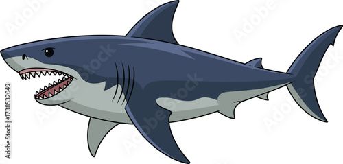 Illustration of great white shark with open mouth showing sharp teeth danger