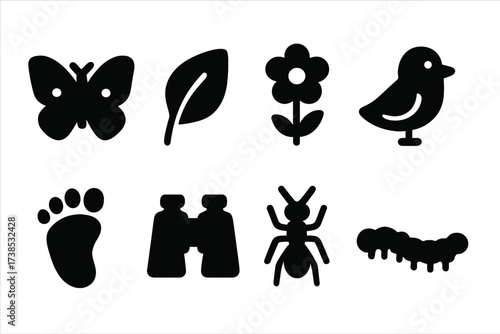Nature Icons Grid. Solid, filled icon set of nature curiosity: butterfly, leaf, flower, bird, footprint, binoculars, ant, caterpillar. [Line icons in only