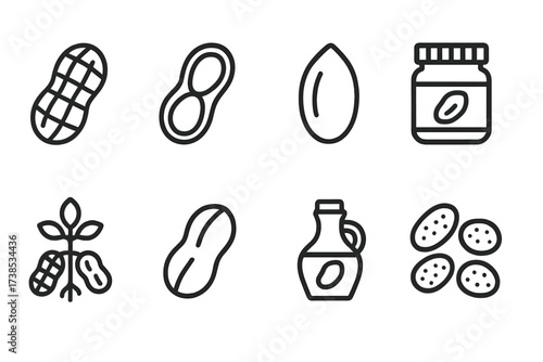 Peanut Icon Set. Outline icon set of peanuts: whole peanut, peanut shell, peanut kernel, peanut butter jar, peanut plant, peanut pod, peanut oil bottle,