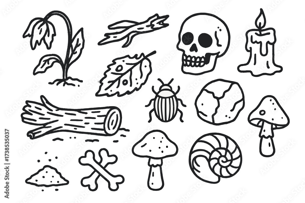 Fototapeta premium Symbols of Decay. Decay. Hand-drawn doodle illustration wilted flower, rotting leaf, broken branch, skull, cracked stone, melting candle, insect, mushroom,