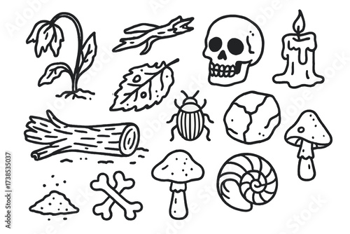 Symbols of Decay. Decay. Hand-drawn doodle illustration wilted flower, rotting leaf, broken branch, skull, cracked stone, melting candle, insect, mushroom,