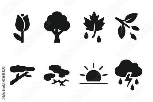 Seasonal Transformation Icons. Solid, filled icon set of seasonal transformations: budding flower, blooming tree, leaf change, falling leaves, snow-covered