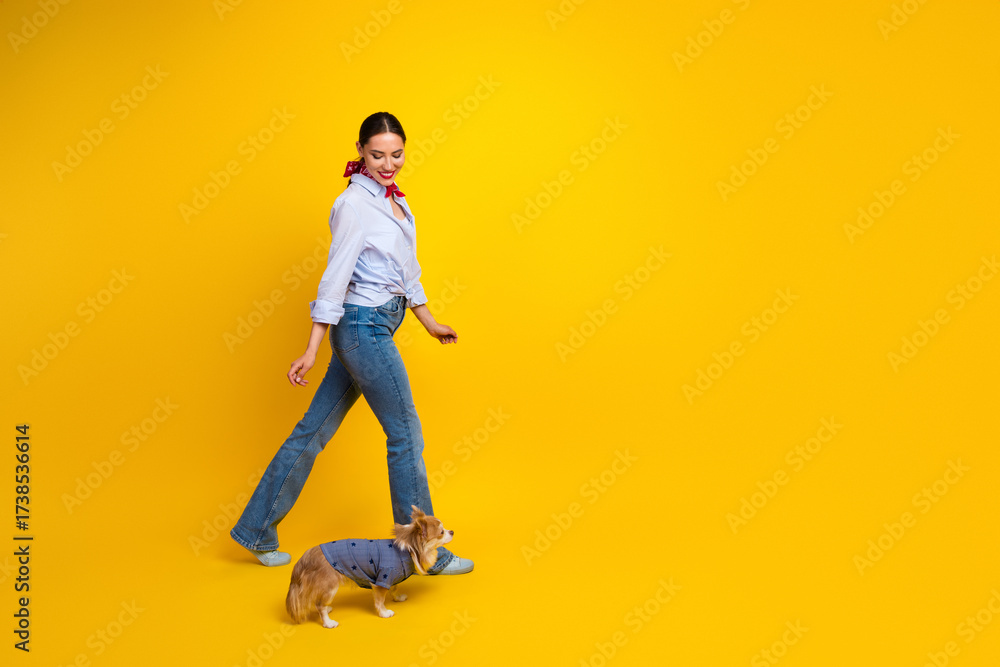 Naklejka premium Young woman walking her Chihuahua on a yellow background, smiling and wearing casual chic clothing for a stylish vibe