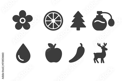 Fragrance Icons Grid. Solid, filled icon set of fragrance types: floral scent, citrus scent, woody scent, oriental scent, fresh scent, fruity scent, spicy