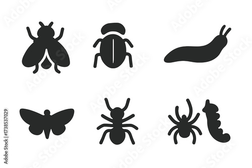 Toad Diet Icons. Solid, filled icon set of toad diet: fly, beetle, worm, slug, moth, ant, spider, caterpillar. Solid, filled icons in only black color. All