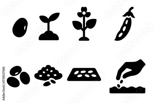 Navy Bean Growth Stages. Solid, filled icon set of navy bean plant stages: seed, sprout, flowering plant, bean pod, harvested beans, drying beans, sorting