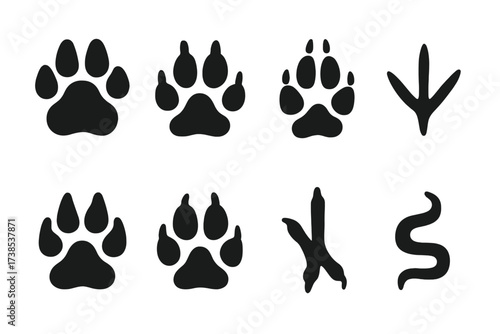 Predator Footprint Icon Grid. Solid, filled icon set of predator tracks: cougar paw, lynx tracks, wolf paw print, coyote footprints, bobcat tracks, fox paw