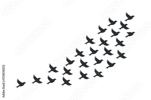Small Birds Flying Formation Silhouette on Transparent