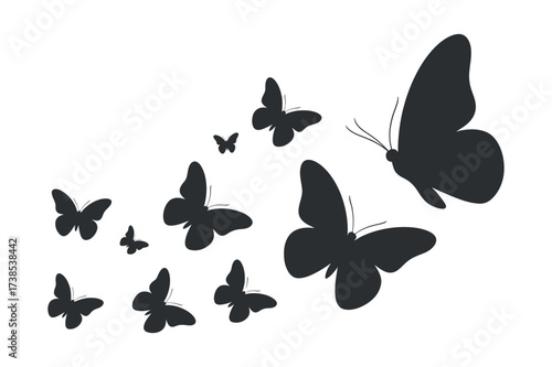 Butterfly Silhouette Compilation Isolated on Checkered Background