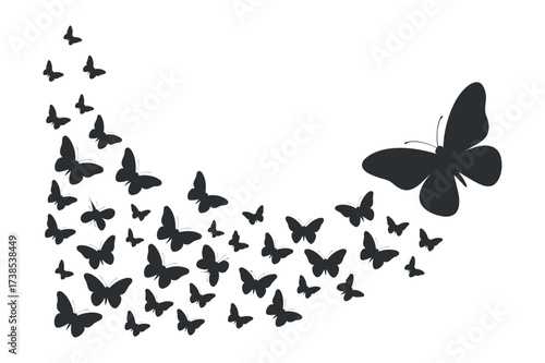 Butterfly Swarm Silhouette Isolated on Checkered Background