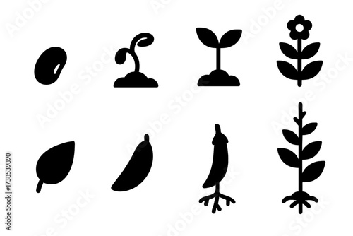 Bean Plant Growth Icons. Solid, filled icon set of bean plant: seed, sprout, young plant, flowering plant, leaf, pod, root, full-grown plant. [Line icons in
