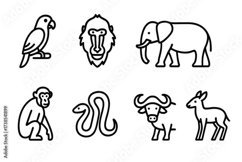 Cameroonian Wildlife Icons. Outline icon set of Cameroonian wildlife: African grey parrot, Mandrill, Forest elephant, Hippopotamus, Chimpanzee, Python, African