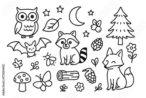 Nocturnal Woodland Doodles. Hand-drawn doodle illustration nocturnal woodland creatures owl, raccoon, bat, firefly, moon, stars, mushroom, tree, leaf, fox,