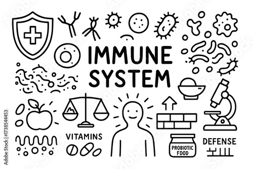 Immune System Illustration. Immune system. Hand-drawn doodle illustration immune system shield, antibodies, T-cells, white blood cells, bacteria, virus, gut