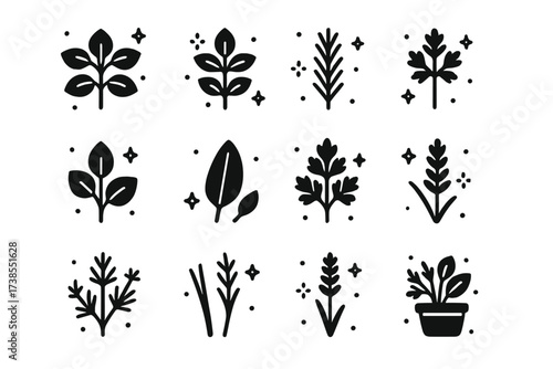 Herb Icons Collection. Herb garden. Solid icons set of herb garden: basil plant, mint plant, rosemary sprig, thyme bunch, oregano leaves, sage leaf, parsley