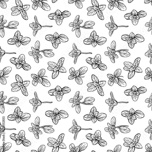 Basil Seamless Pattern. Italian herbs.A sprig of marjoram. Basil is a fragrant and fragrant seasoning. Hand-drawn illustration