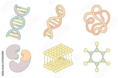 Biochemistry Molecules Icons. Isometric vector illustration set Biochemistry molecules: DNA double helix with bases, RNA strand