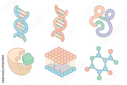 Biochemistry Molecules Icons. Isometric vector illustration set Biochemistry molecules: DNA double helix with bases, RNA strand