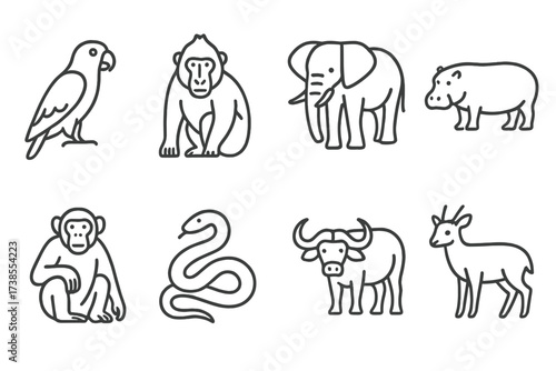 Cameroonian Wildlife Icons. Outline icon set of Cameroonian wildlife: African grey parrot, Mandrill, Forest elephant, Hippopotamus, Chimpanzee, Python, African