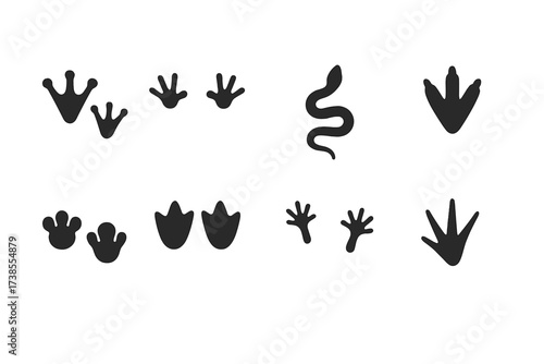 Amphibian Reptile Tracks. Solid, filled icon set of amphibian and reptile tracks: frog footprints, salamander tracks, snake slither, turtle footprints,